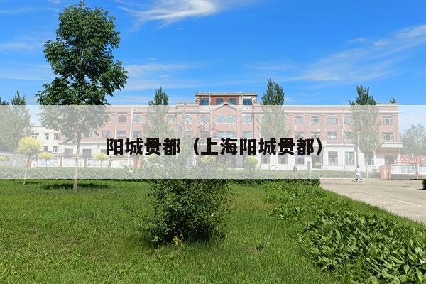 阳城贵都（上海阳城贵都）